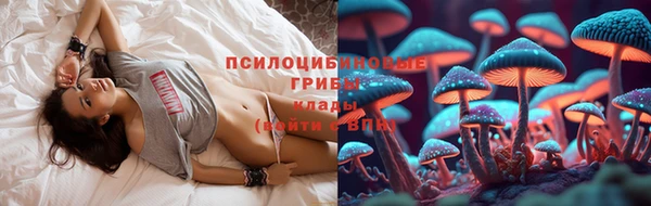 2c-b Богданович