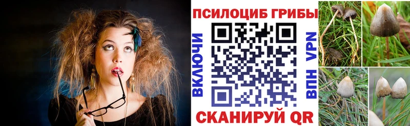 Псилоцибиновые грибы Psilocybe Воткинск